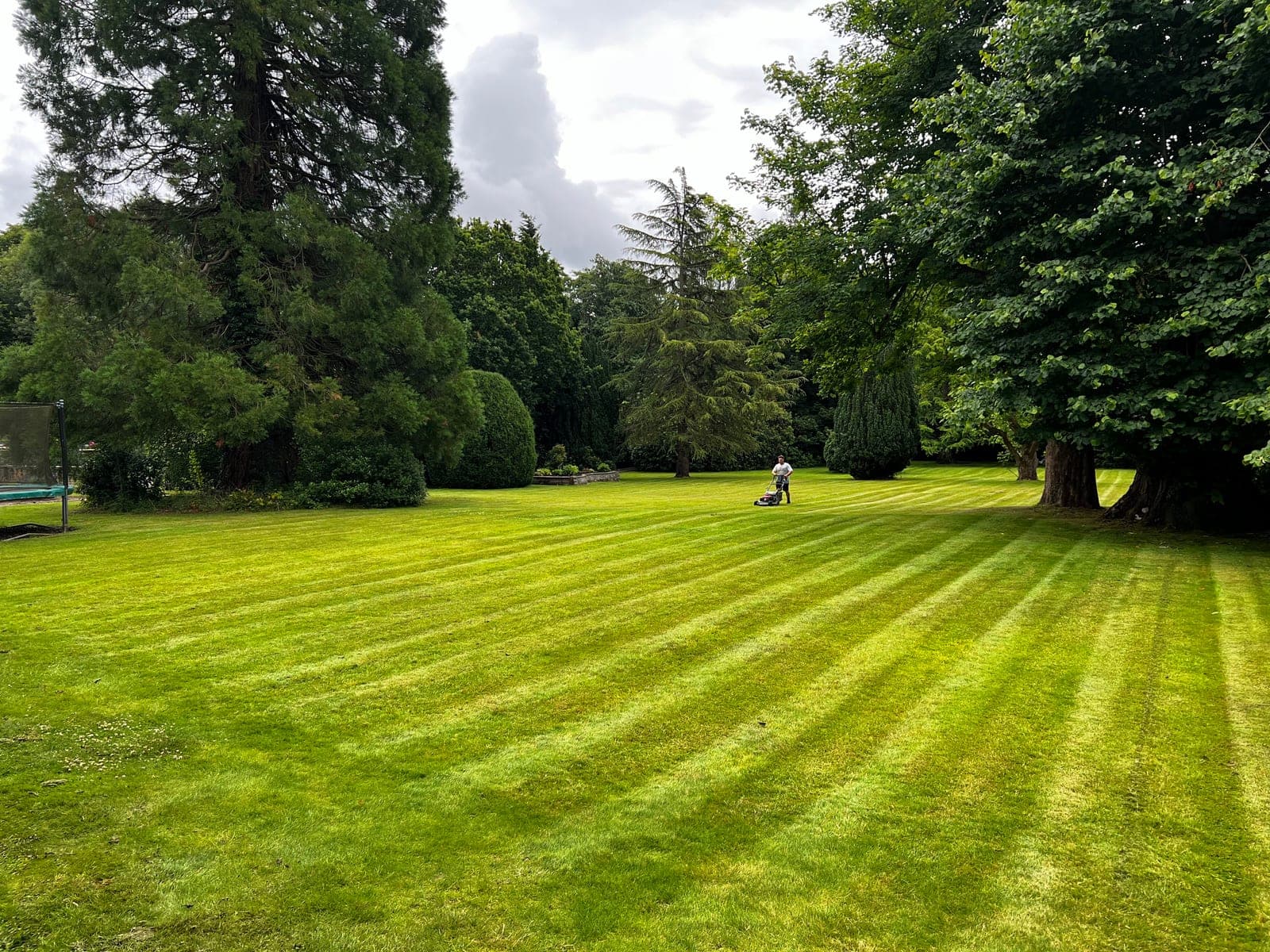 Striped lawn and garden maintained by Gemzas Garden Maintenance and Landscaping