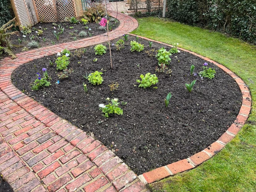 Planting and Advice Surrounding Villages in Kent: Exposure, Dry Shade and Hungry Wildlife