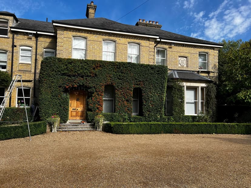 Fencing Sevenoaks: Boundaries Built for Clay, Wind and Decades