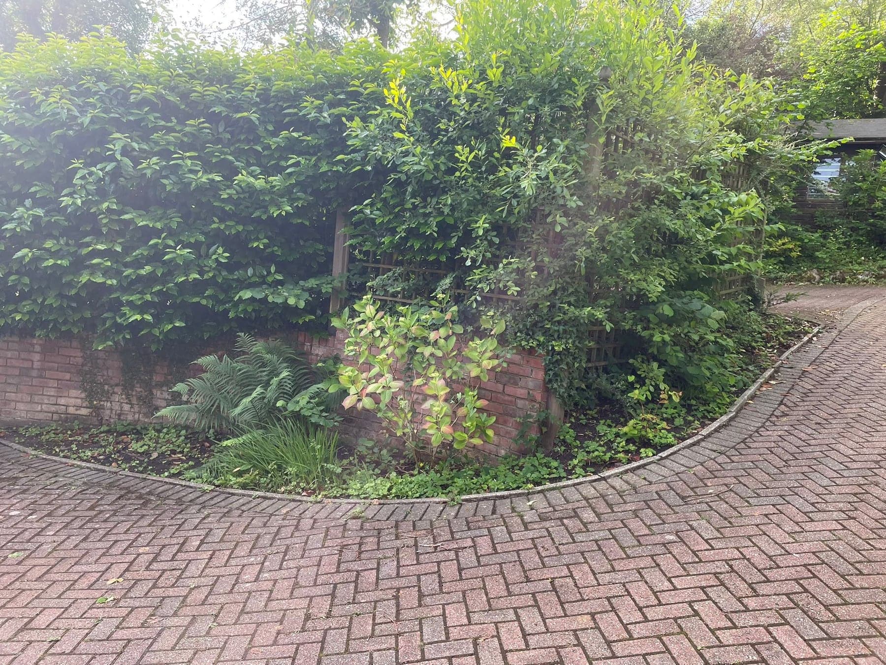 Flower bed planting before and after - before