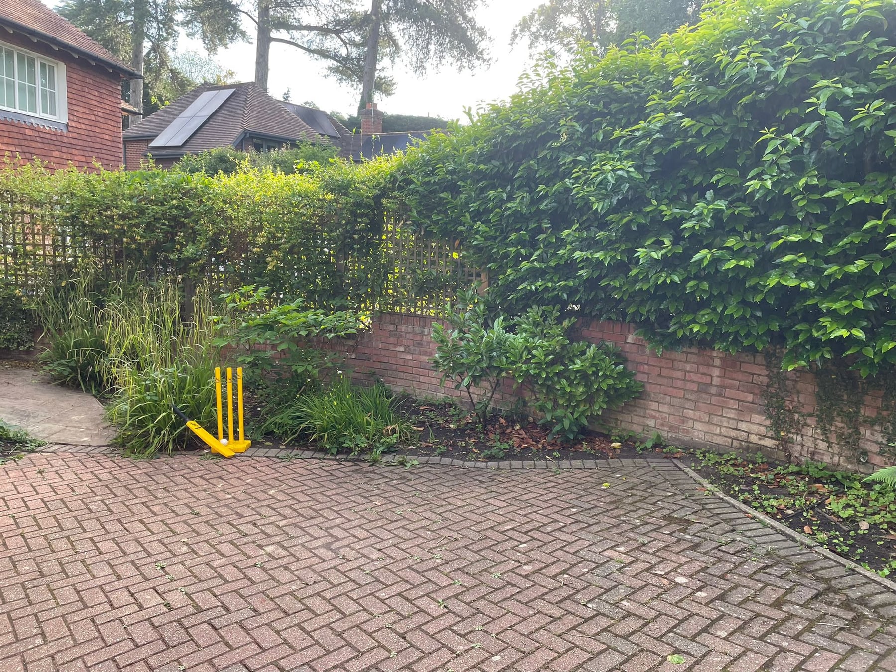 Gemzas Garden Maintenance and Landscaping Border before maintenance