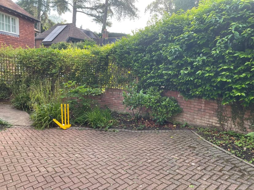 Gemzas Garden Maintenance and Landscaping Border before maintenance