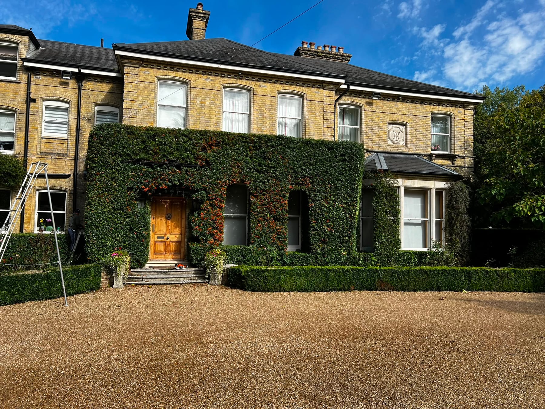 Gemzas Garden Maintenance and Landscaping House frontage hedge work