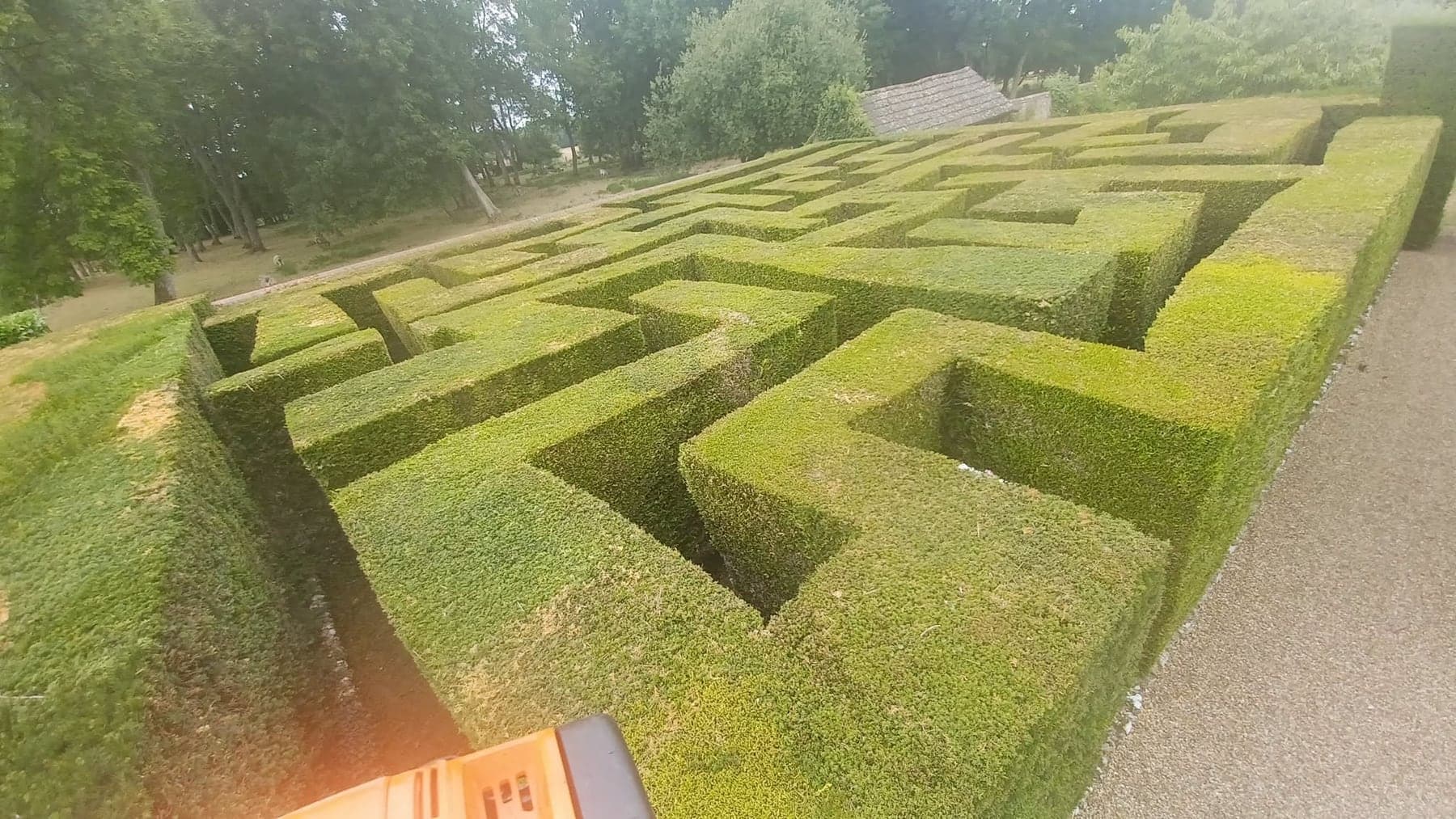 Hedge pruning and reducing