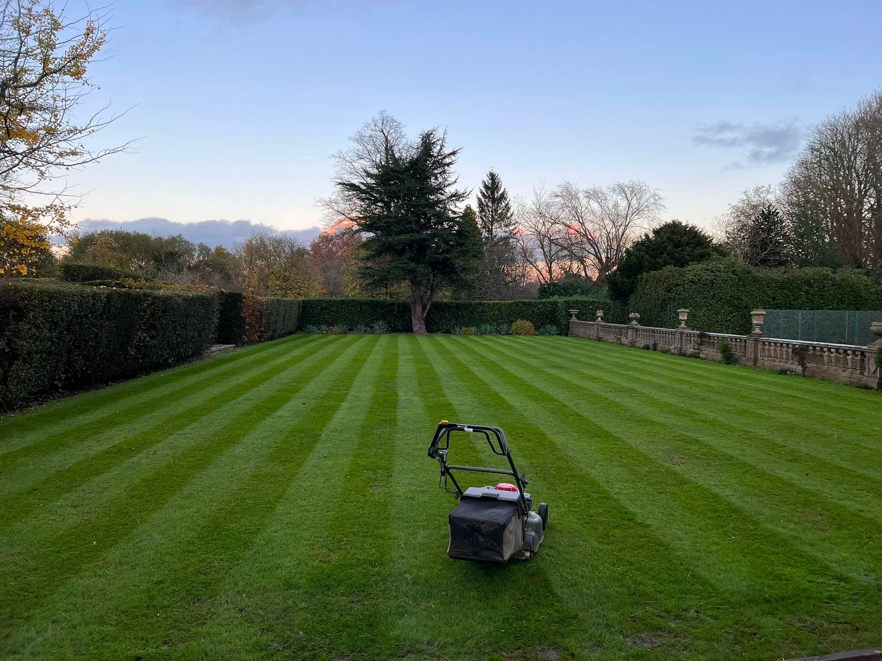 Grass cutting and lawn maintenance