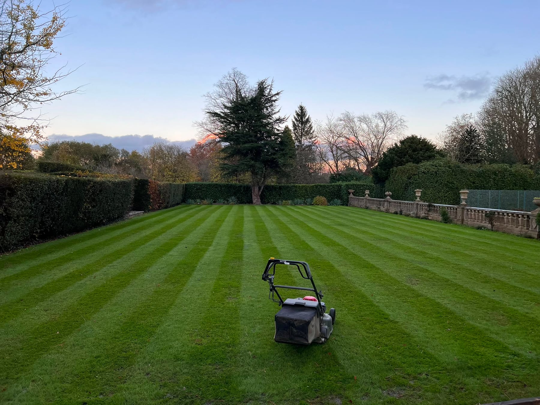 Gemzas Garden Maintenance and Landscaping Lawn mowing stripes