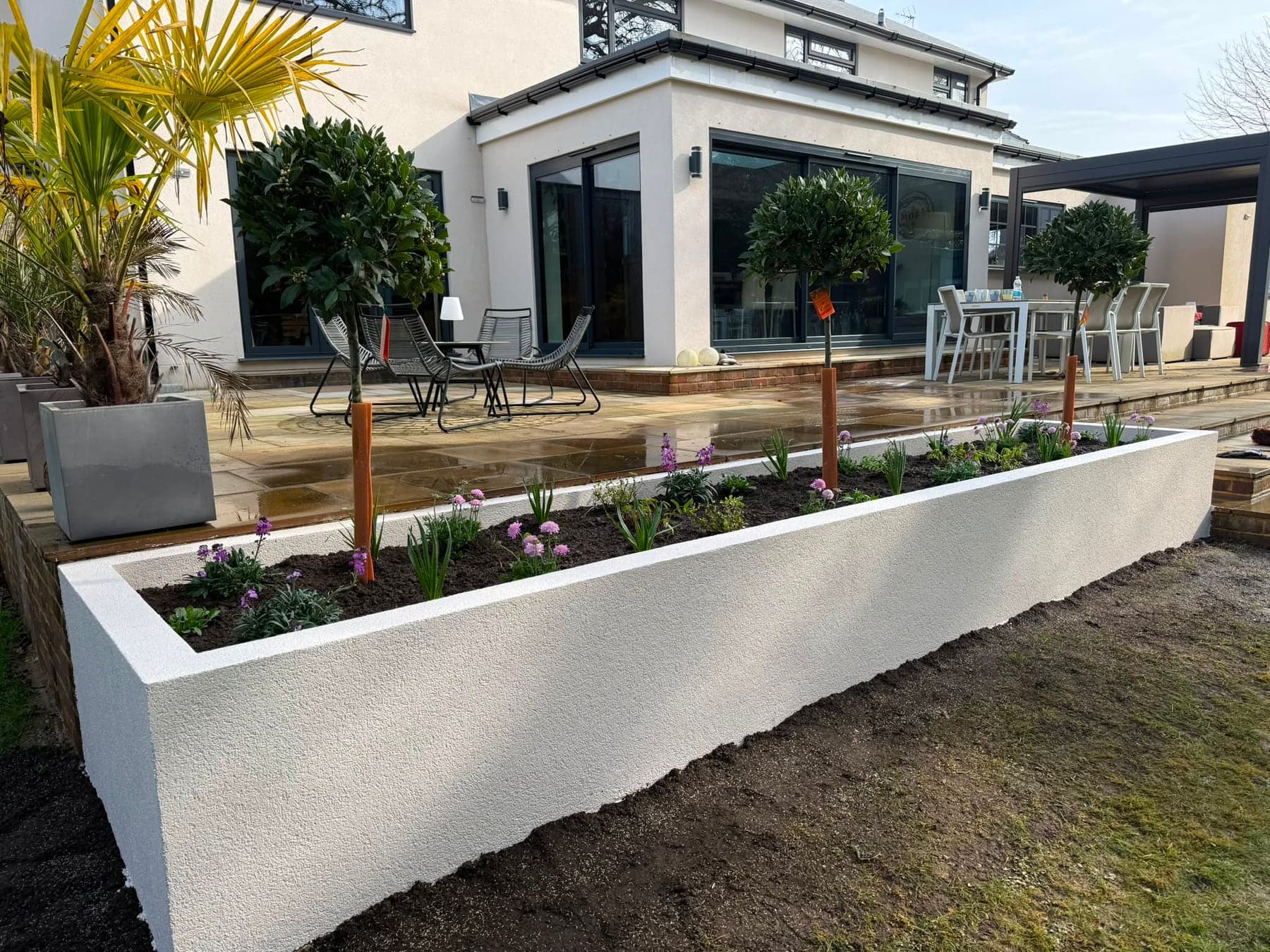 A long white raised garden bed beside a patio, with young flowering plants and three clipped trees.