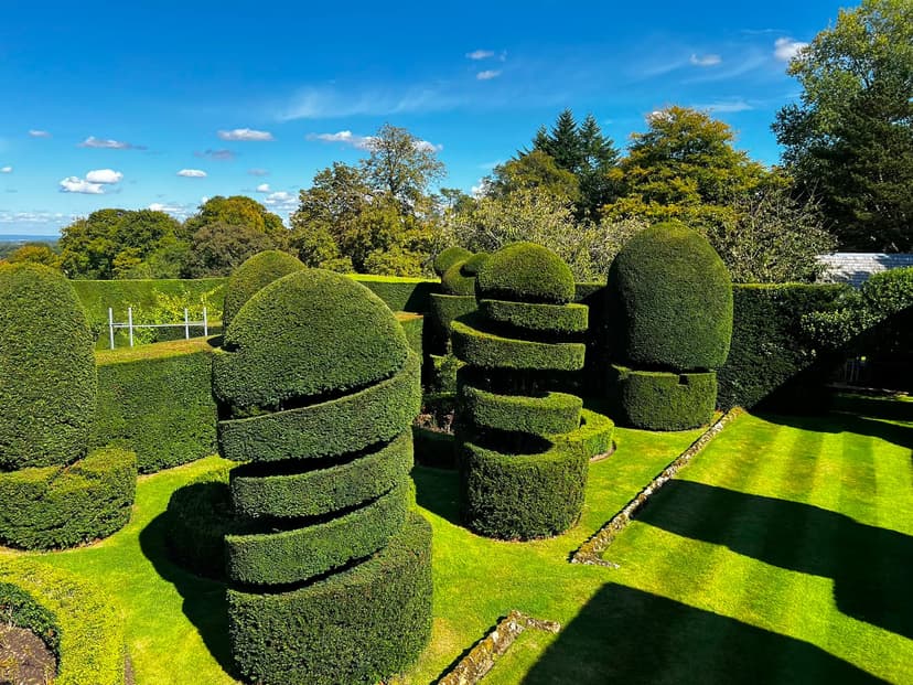 Planning a Hedge Reduction in Sevenoaks: Privacy, Light and Access